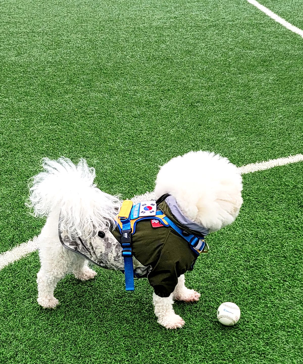 니즈더펫(NEEDS THE PET) NTP 아노락 강아지 바람막이