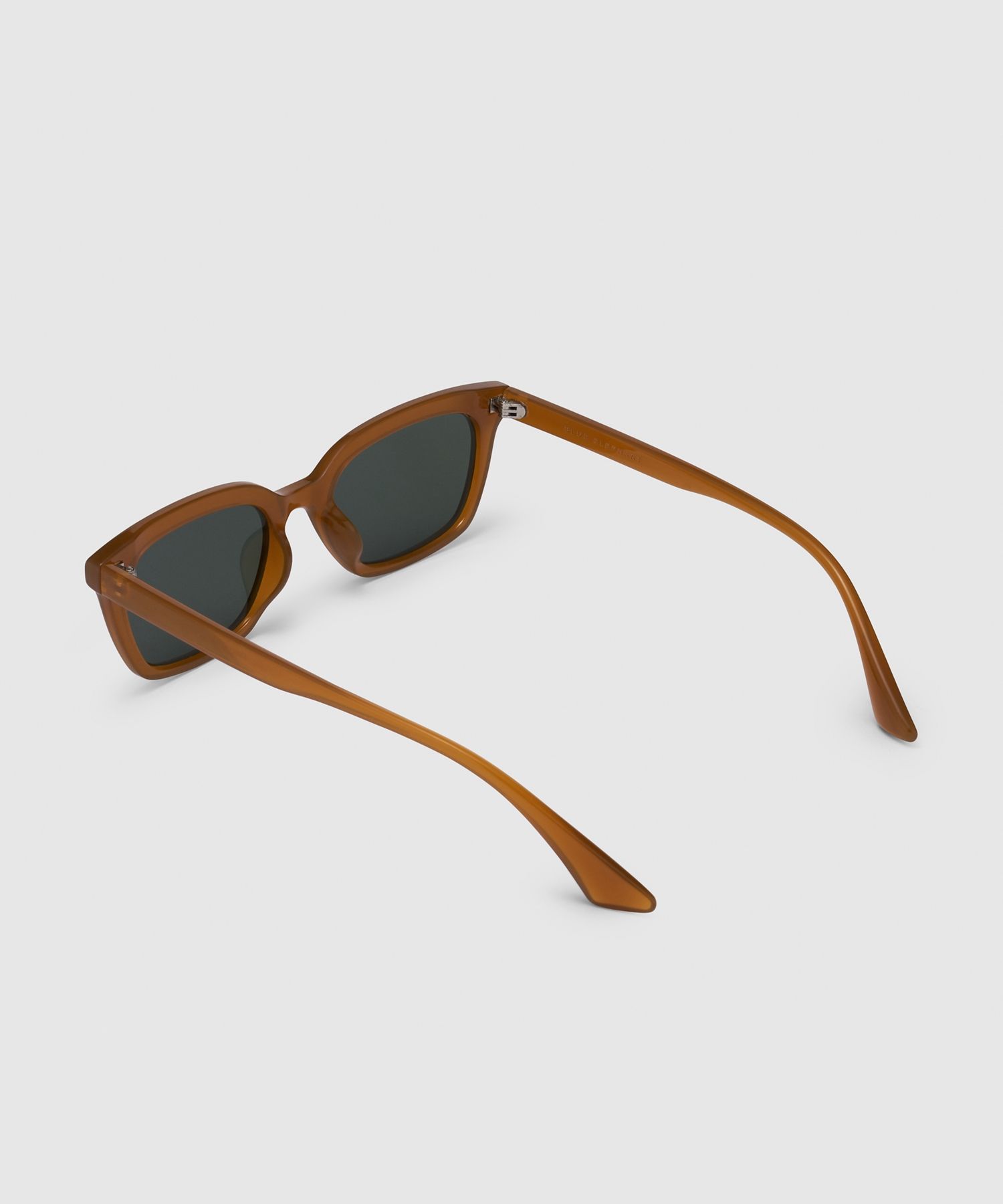 サングラス BLUE ELEPHANT HARPERS pumpkin Blueelephant Sunglasses HARPER-S pumpkin - Weee!