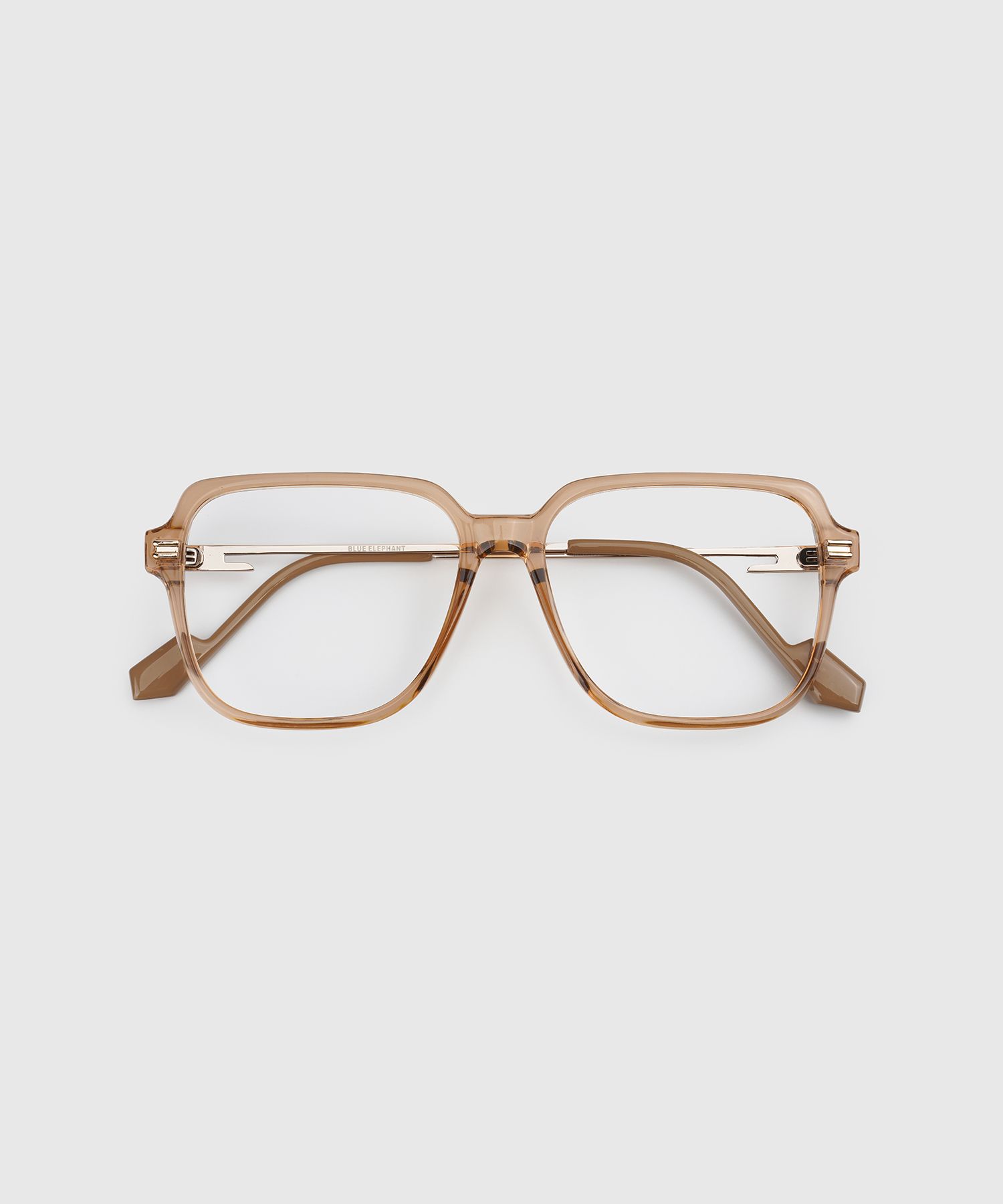 MUSINSA | BLUE ELEPHANT ZENTA brown