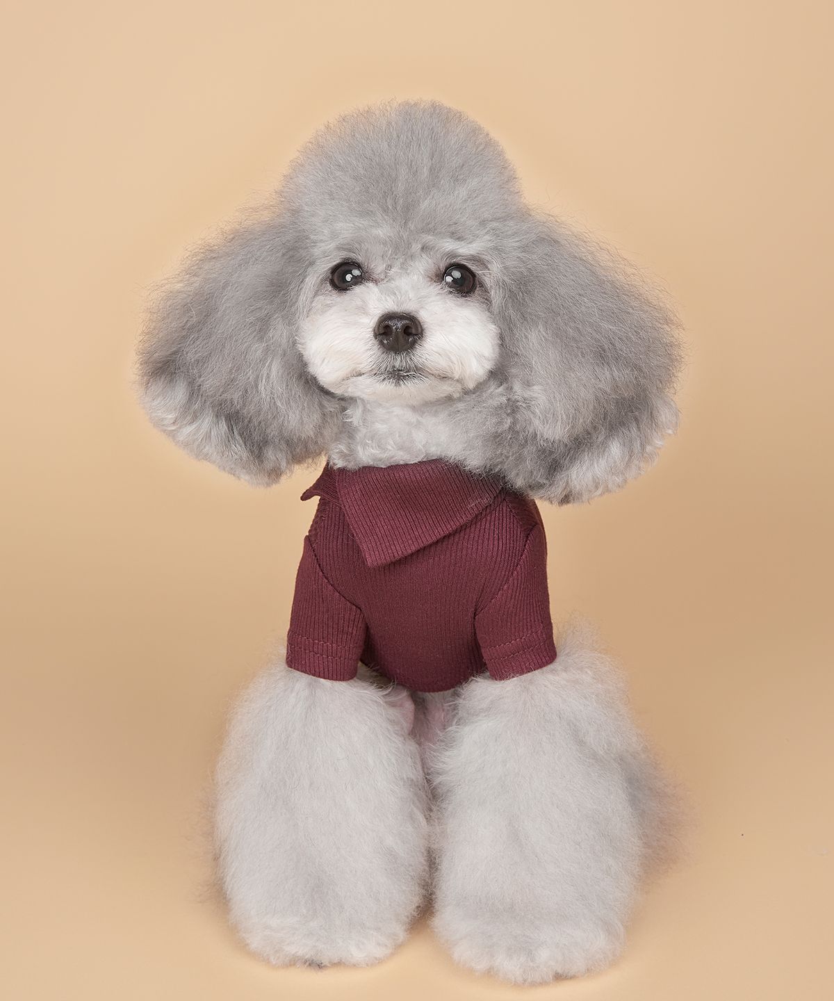 위드토리(WITH TORY) 날마다 넥카라 티셔츠 (7colors)