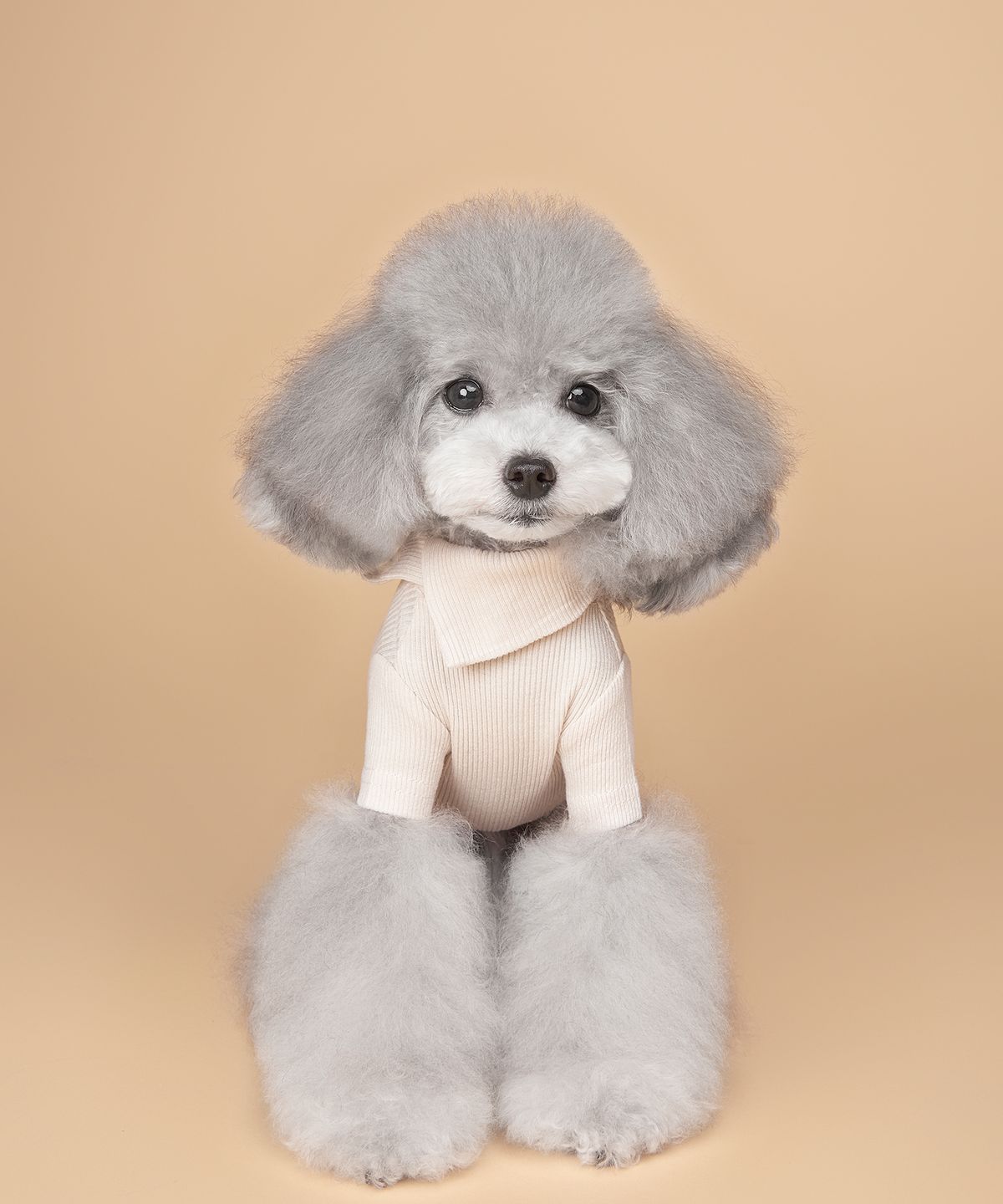 위드토리(WITH TORY) 날마다 넥카라 티셔츠 (7colors)