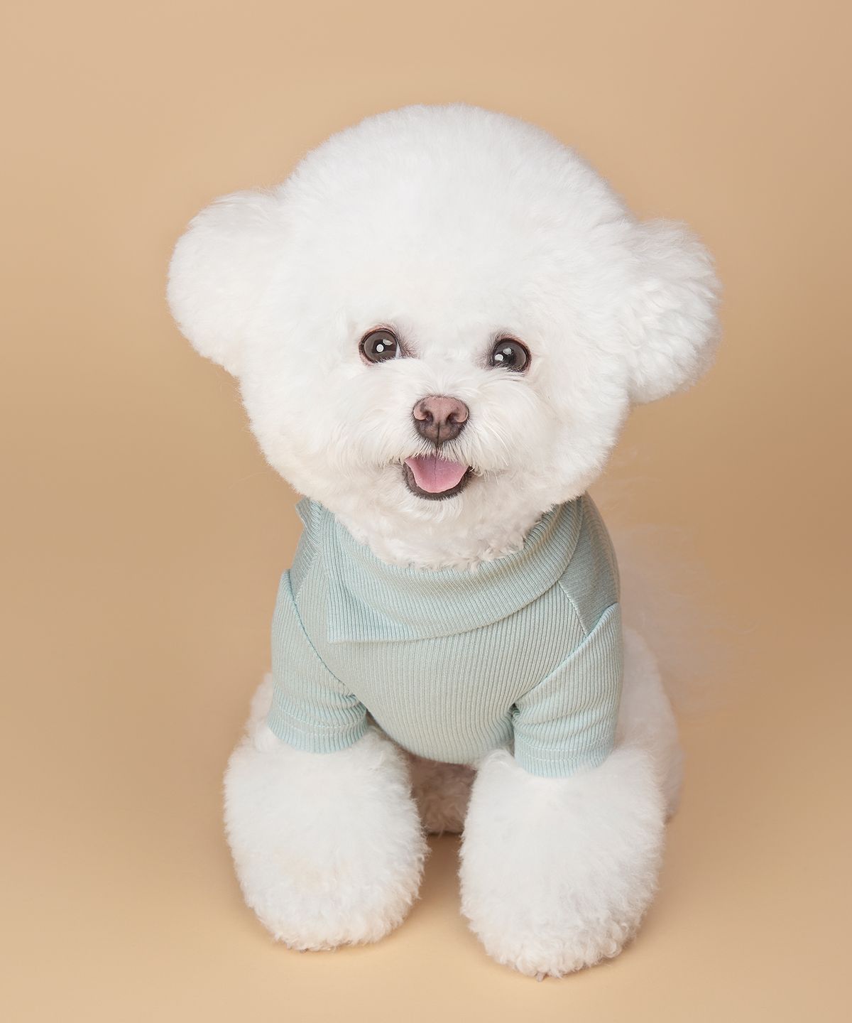 위드토리(WITH TORY) 날마다 넥카라 티셔츠 (7colors)