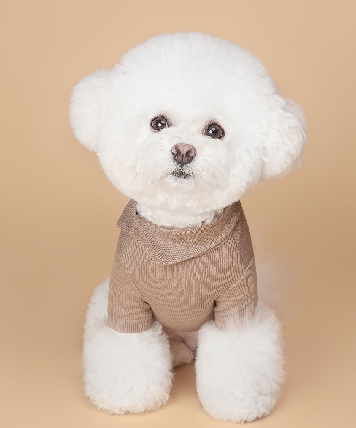 위드토리(WITH TORY) 날마다 넥카라 티셔츠 (7colors)