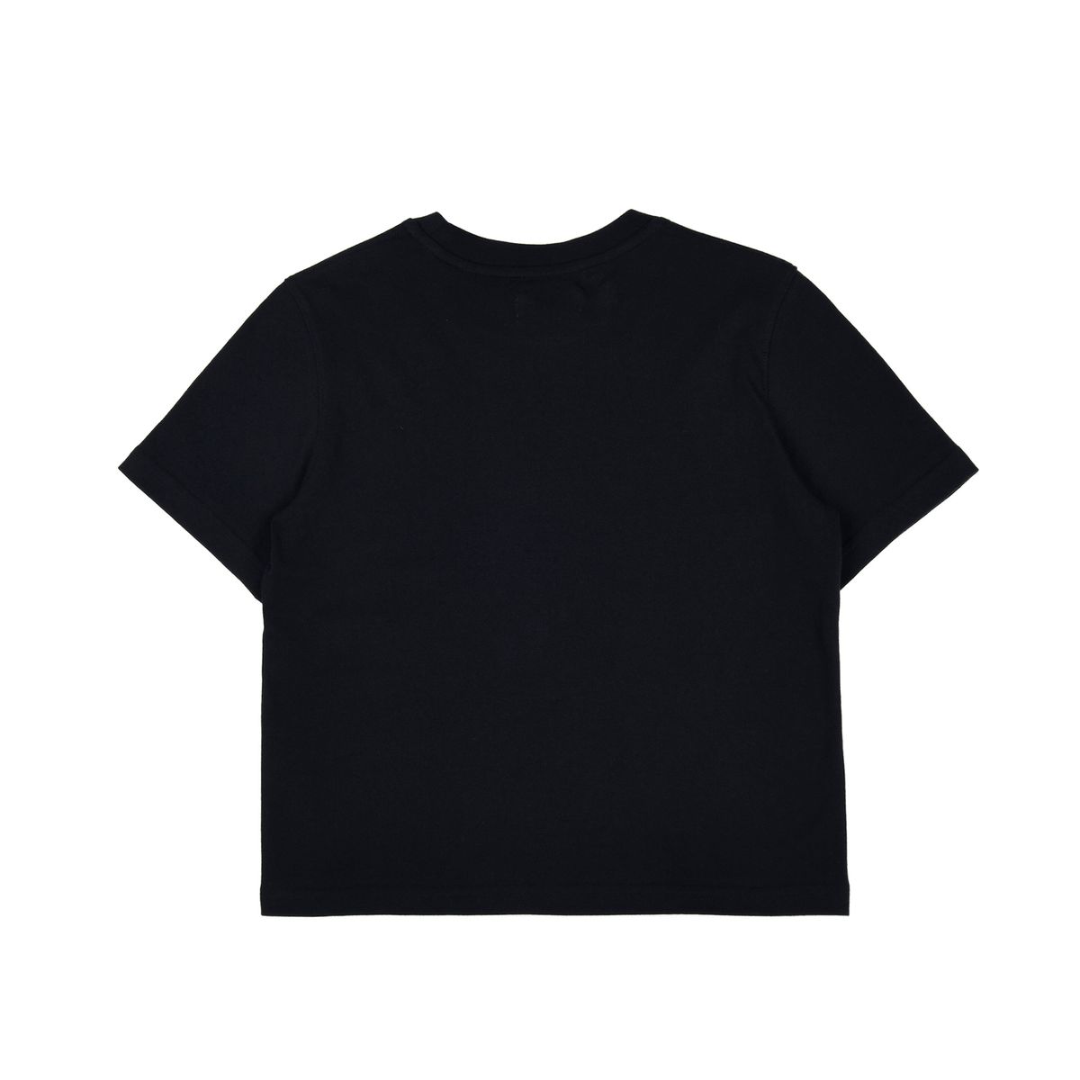 에이이에이이(AEAE) FLASHED CATS EYE CROP T-SHIRTS [Black]