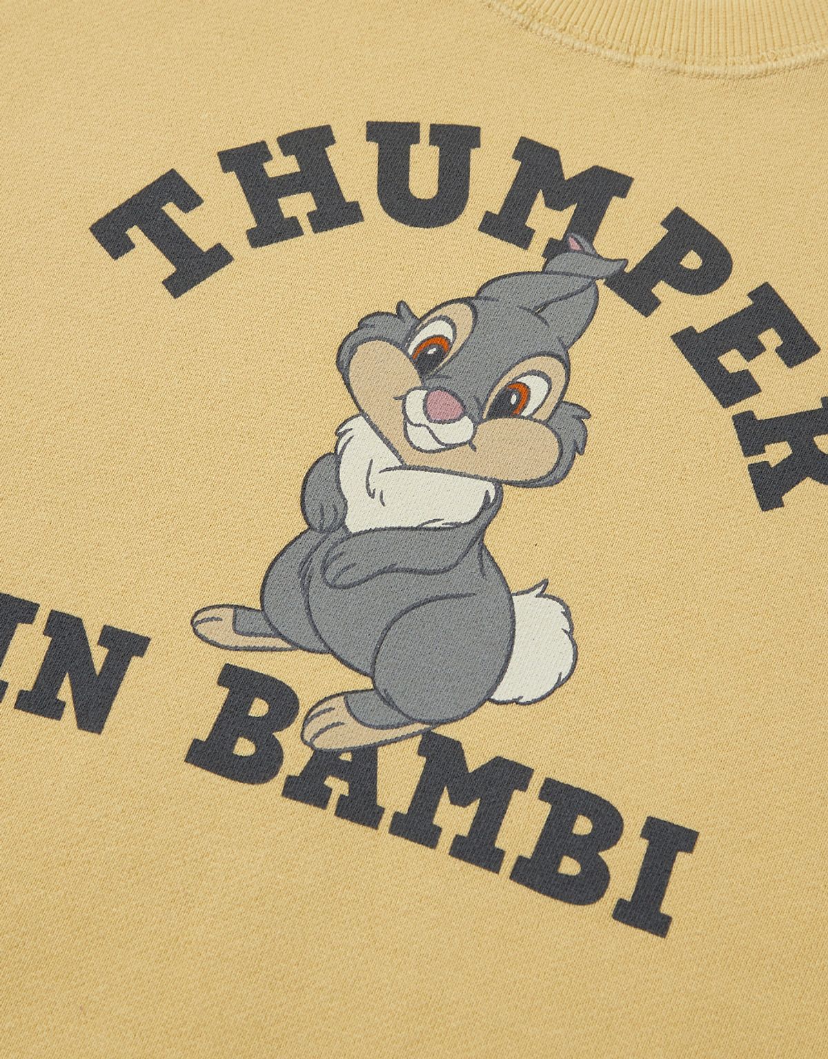 엠엠엘지(MMLG) [Mmlg] DISNEY THUMPER_HF-SWEAT (NOODLE)
