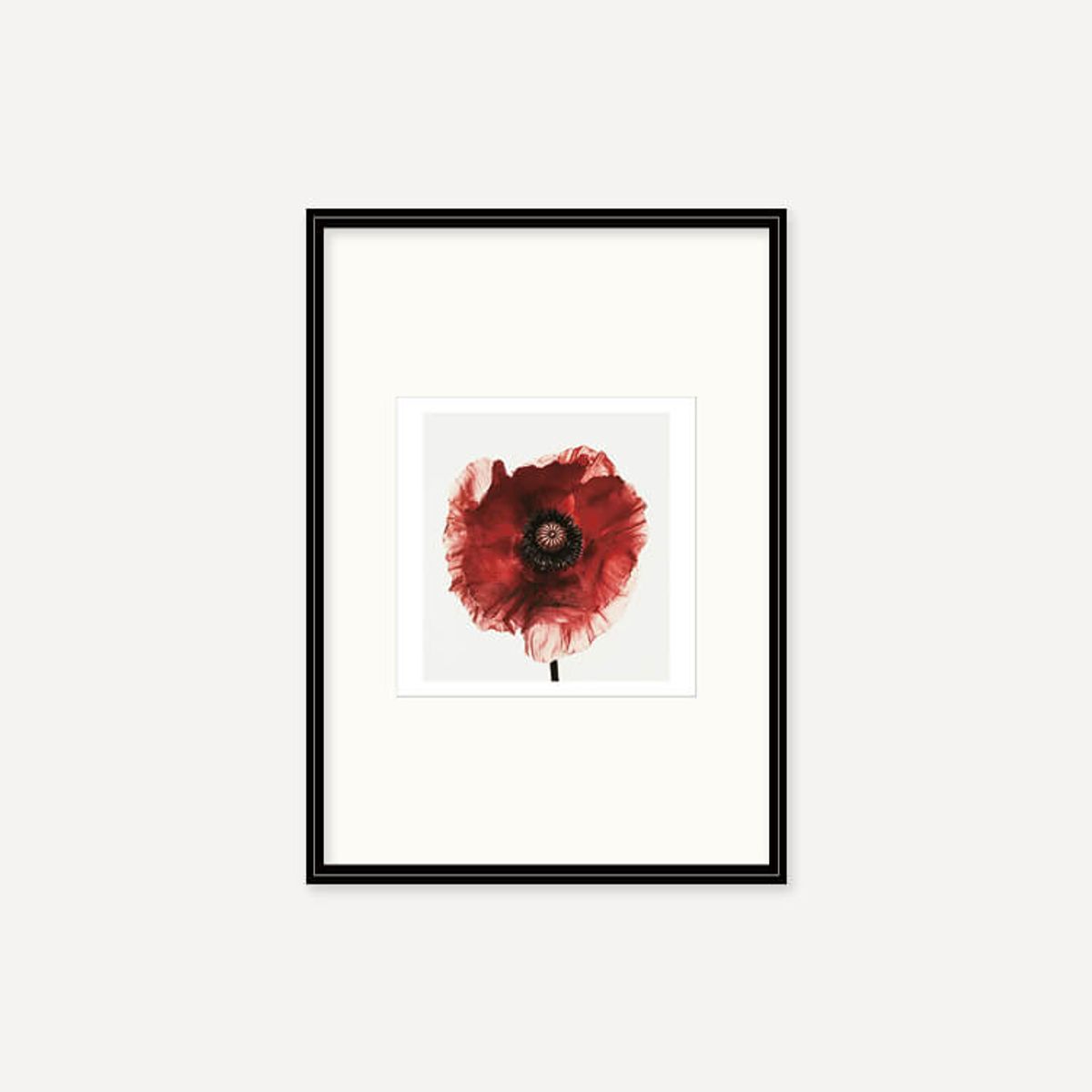 그릿시즌(GREET SEASON) 어빙 펜 Poppy : Burgundy, 1968 (액자 포함)