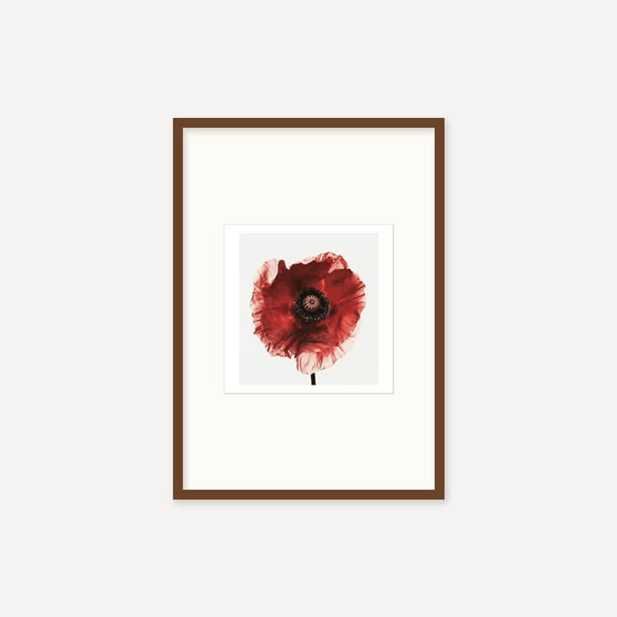 그릿시즌(GREET SEASON) 어빙 펜 Poppy : Burgundy, 1968 (액자 포함)