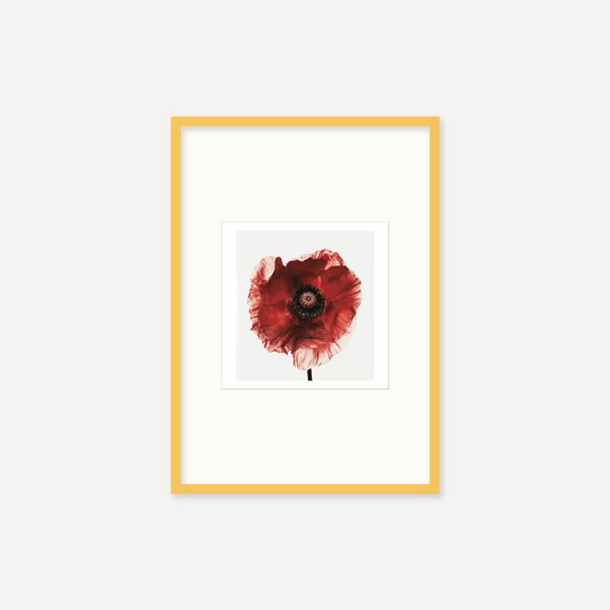 그릿시즌(GREET SEASON) 어빙 펜 Poppy : Burgundy, 1968 (액자 포함)