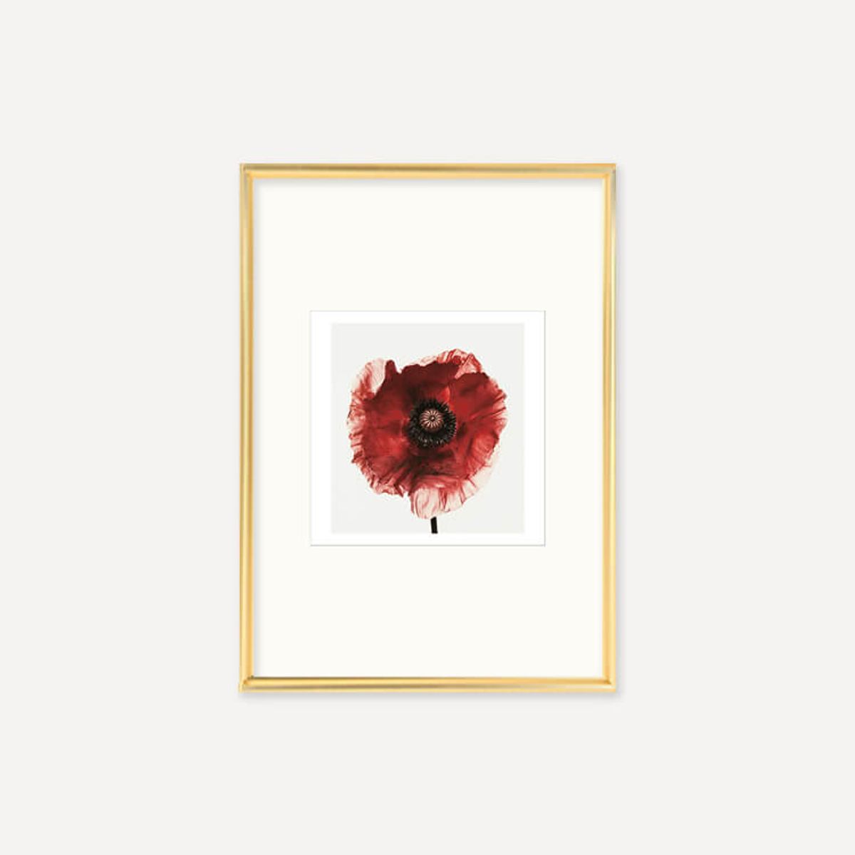 그릿시즌(GREET SEASON) 어빙 펜 Poppy : Burgundy, 1968 (액자 포함)