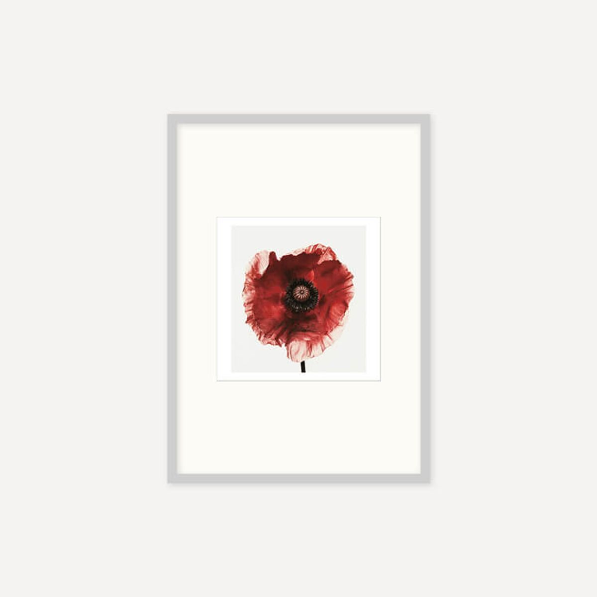 그릿시즌(GREET SEASON) 어빙 펜 Poppy : Burgundy, 1968 (액자 포함)