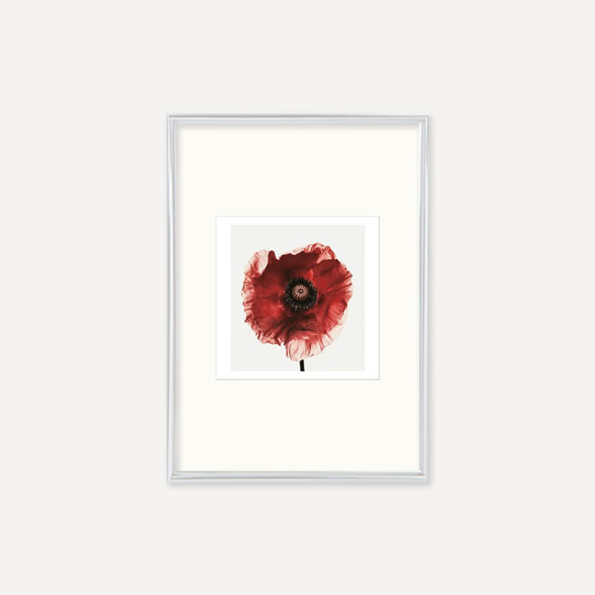 그릿시즌(GREET SEASON) 어빙 펜 Poppy : Burgundy, 1968 (액자 포함)