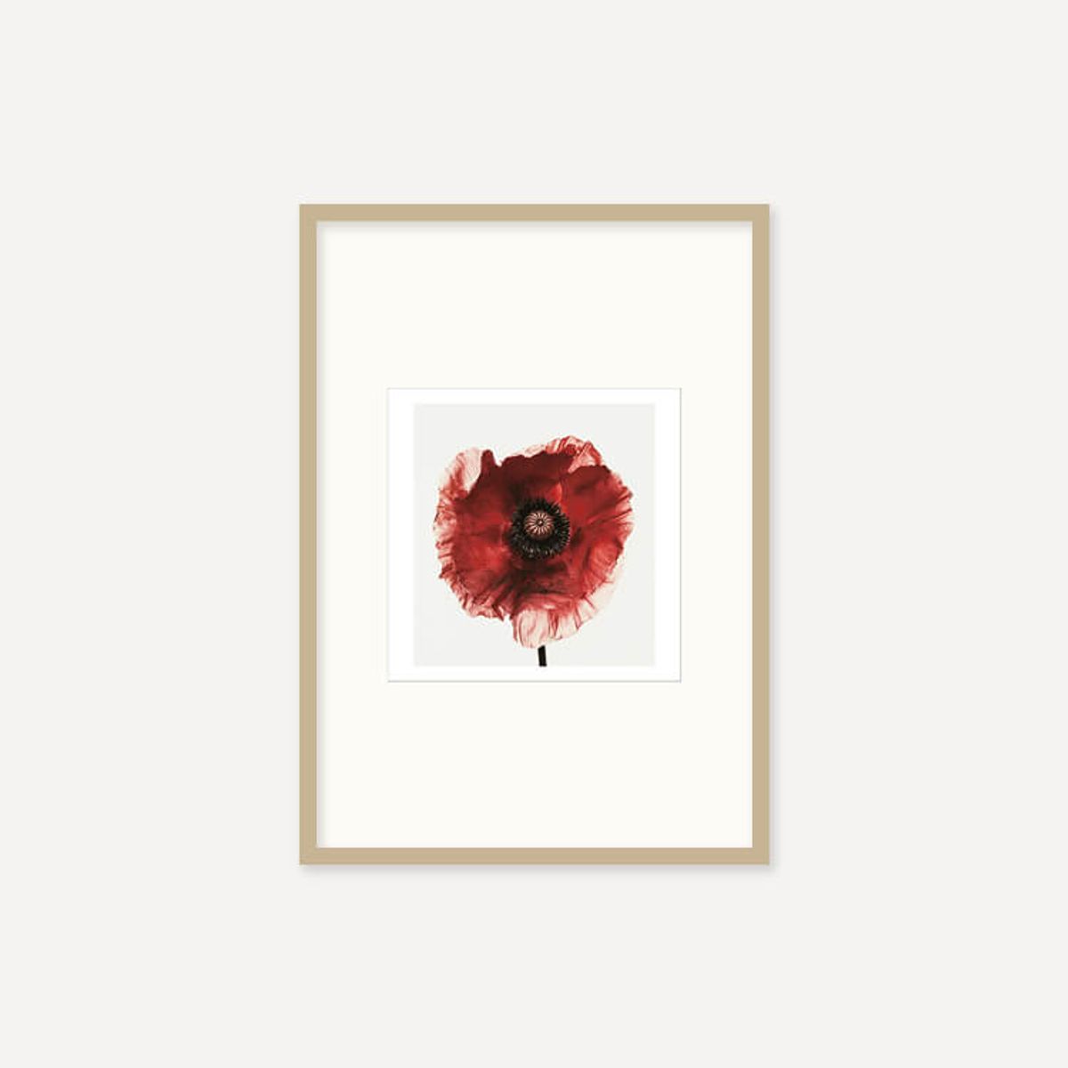 그릿시즌(GREET SEASON) 어빙 펜 Poppy : Burgundy, 1968 (액자 포함)