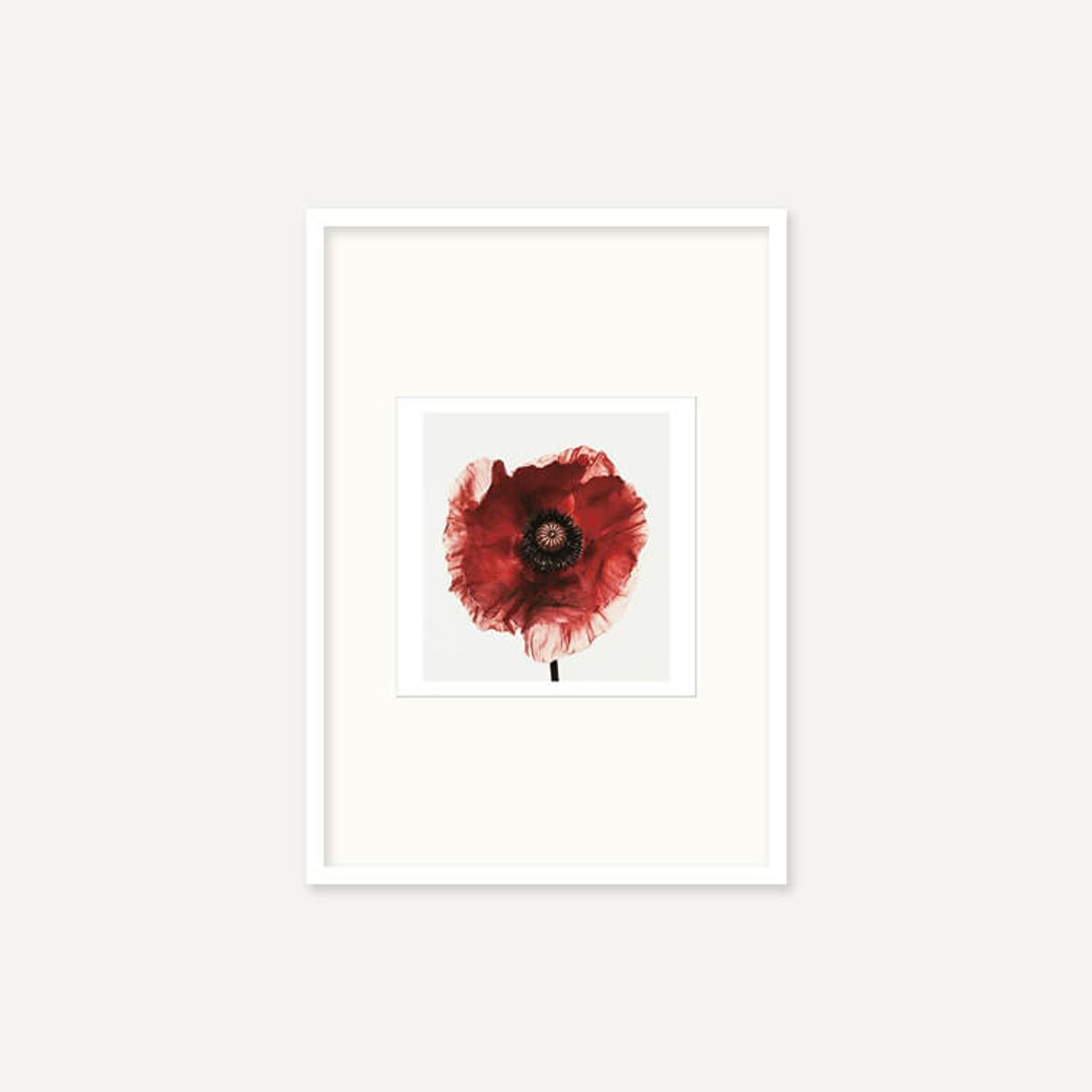 그릿시즌(GREET SEASON) 어빙 펜 Poppy : Burgundy, 1968 (액자 포함)