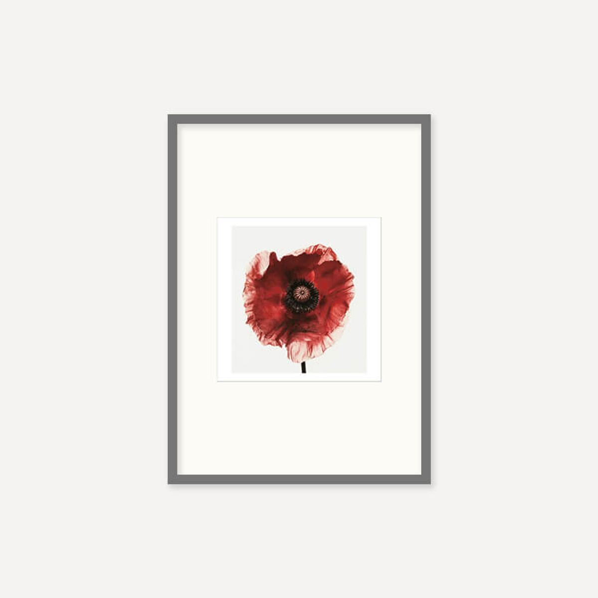 그릿시즌(GREET SEASON) 어빙 펜 Poppy : Burgundy, 1968 (액자 포함)