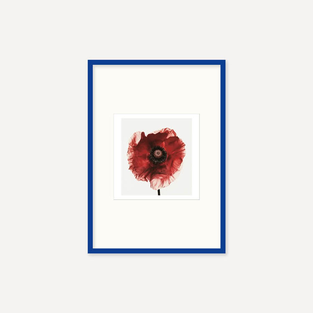 그릿시즌(GREET SEASON) 어빙 펜 Poppy : Burgundy, 1968 (액자 포함)
