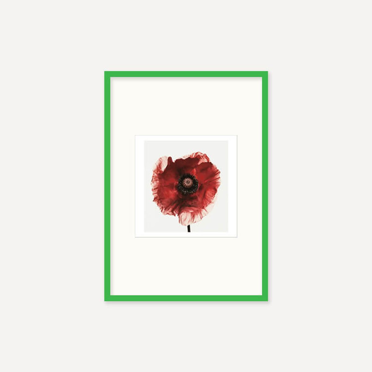 그릿시즌(GREET SEASON) 어빙 펜 Poppy : Burgundy, 1968 (액자 포함)