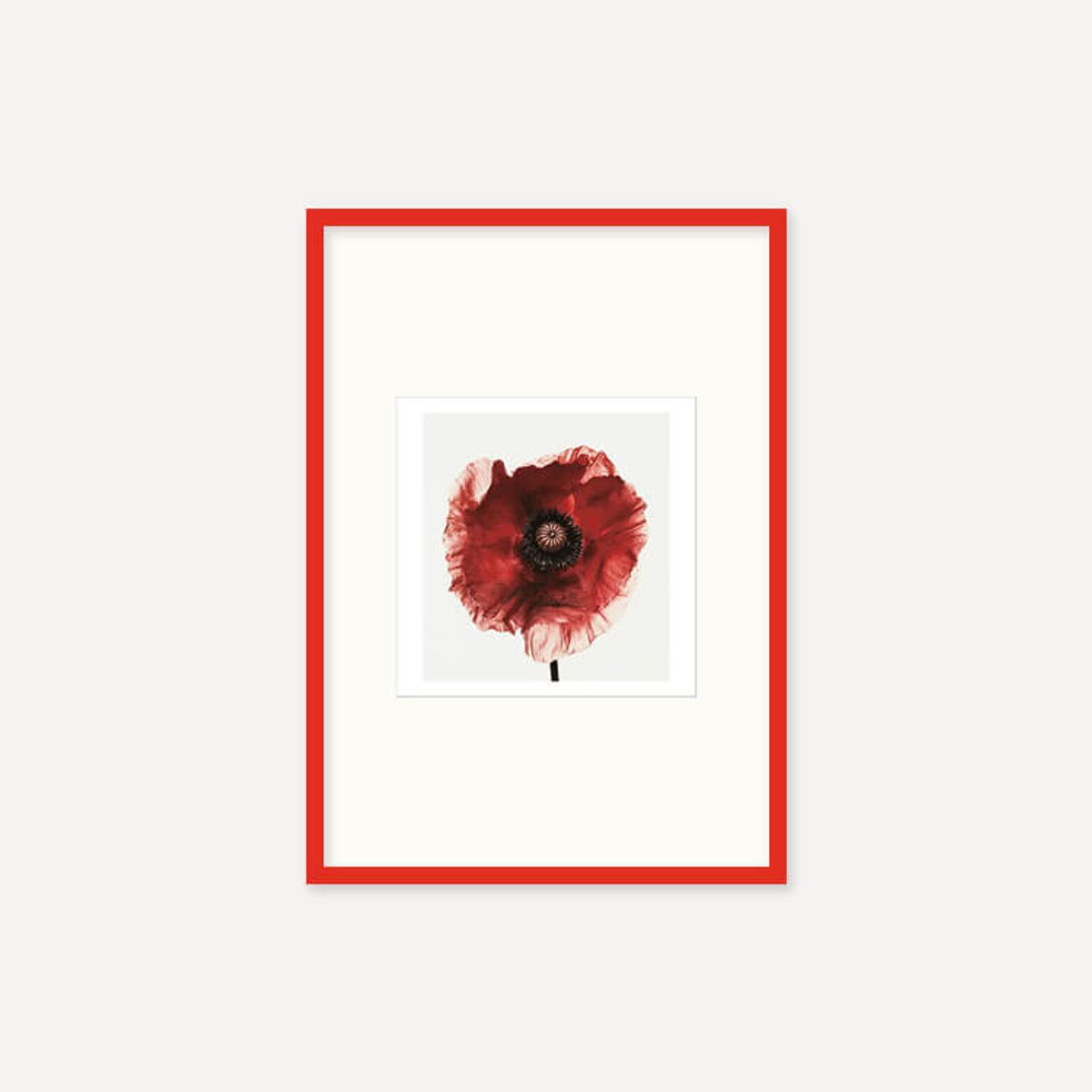 그릿시즌(GREET SEASON) 어빙 펜 Poppy : Burgundy, 1968 (액자 포함)