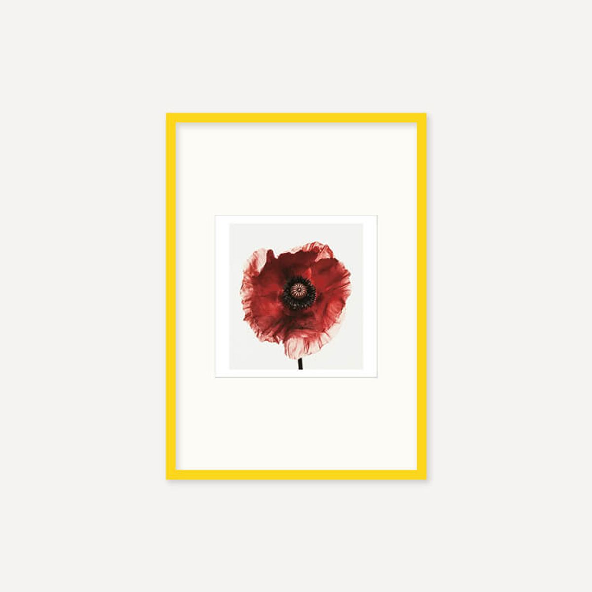 그릿시즌(GREET SEASON) 어빙 펜 Poppy : Burgundy, 1968 (액자 포함)