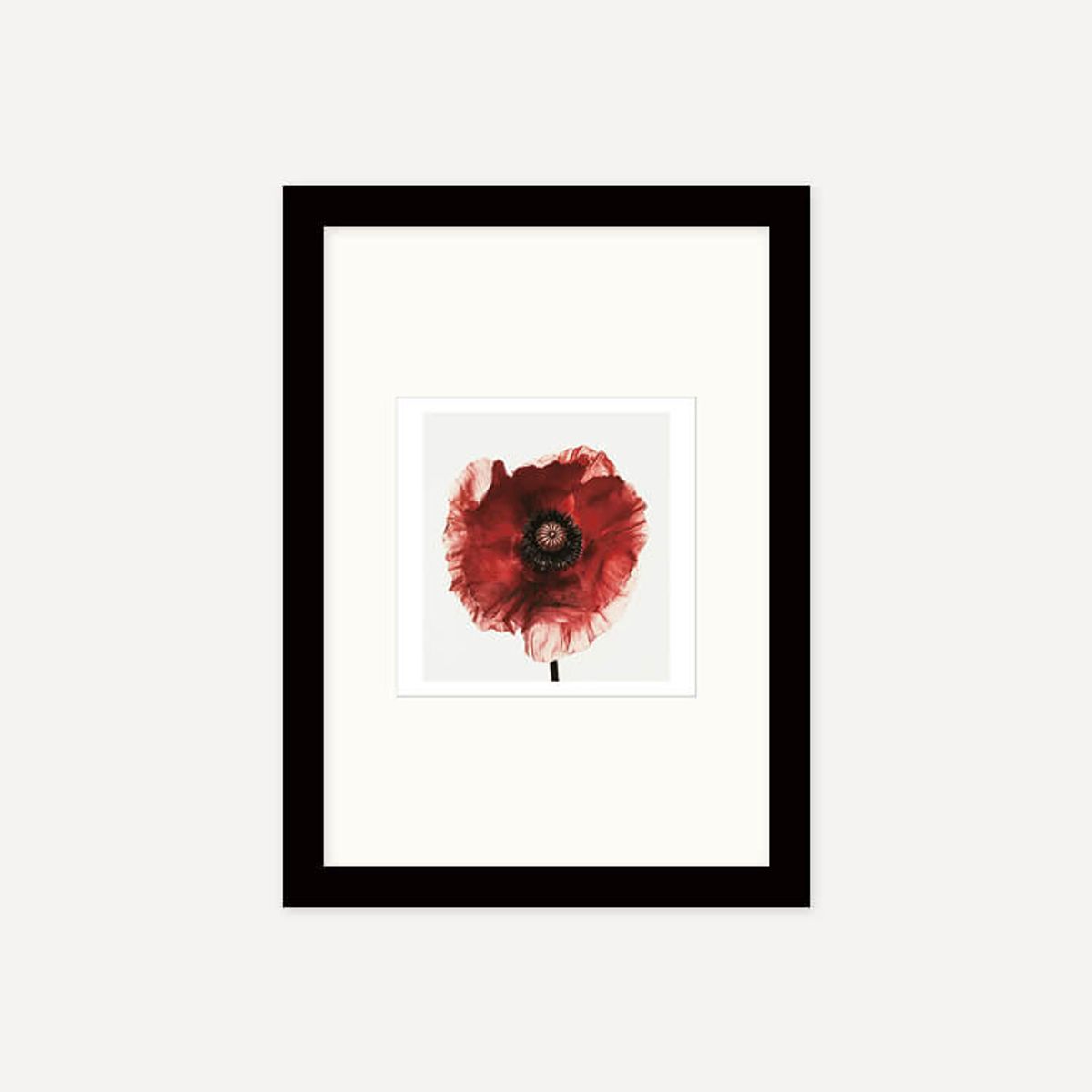 그릿시즌(GREET SEASON) 어빙 펜 Poppy : Burgundy, 1968 (액자 포함)