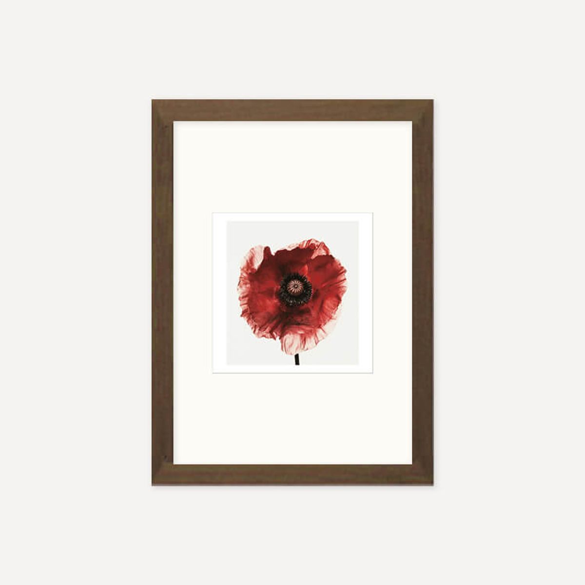 그릿시즌(GREET SEASON) 어빙 펜 Poppy : Burgundy, 1968 (액자 포함)