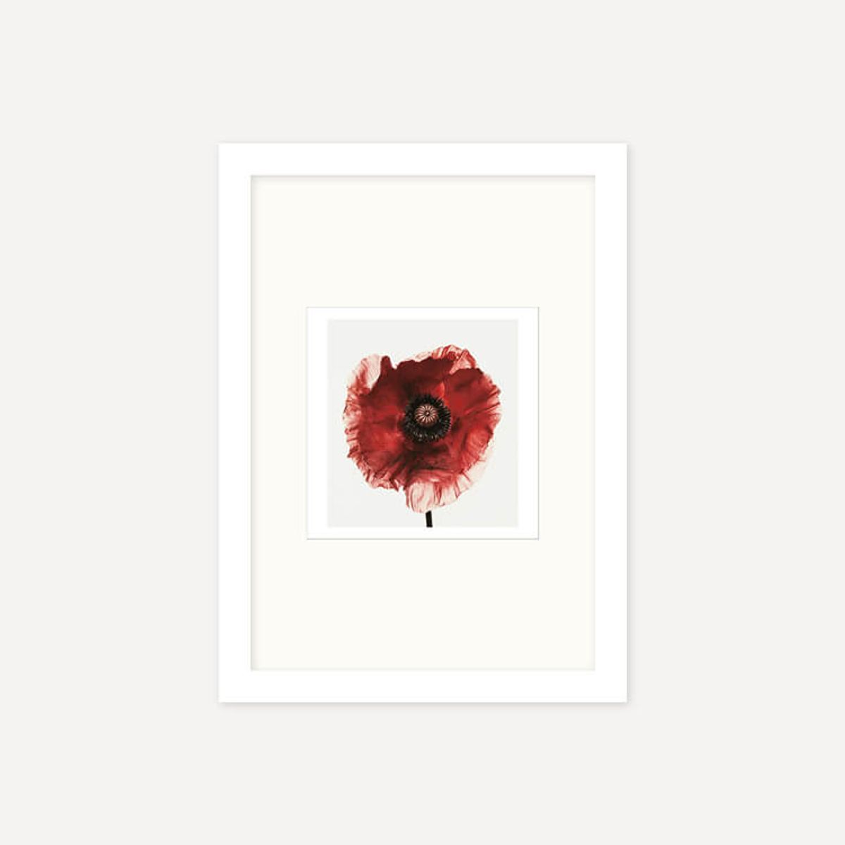 그릿시즌(GREET SEASON) 어빙 펜 Poppy : Burgundy, 1968 (액자 포함)