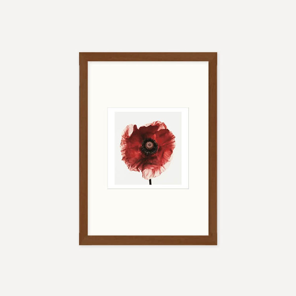 그릿시즌(GREET SEASON) 어빙 펜 Poppy : Burgundy, 1968 (액자 포함)