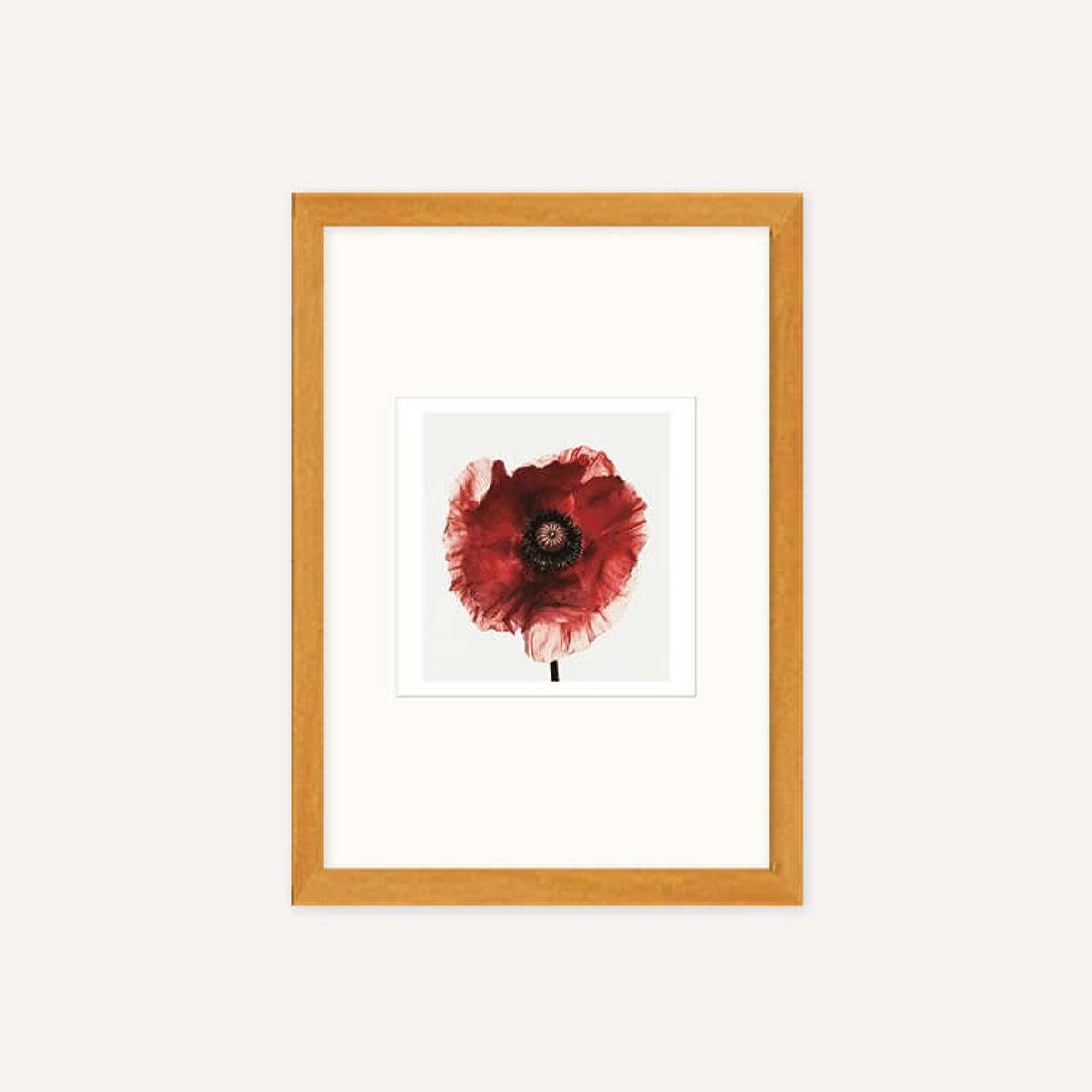 그릿시즌(GREET SEASON) 어빙 펜 Poppy : Burgundy, 1968 (액자 포함)