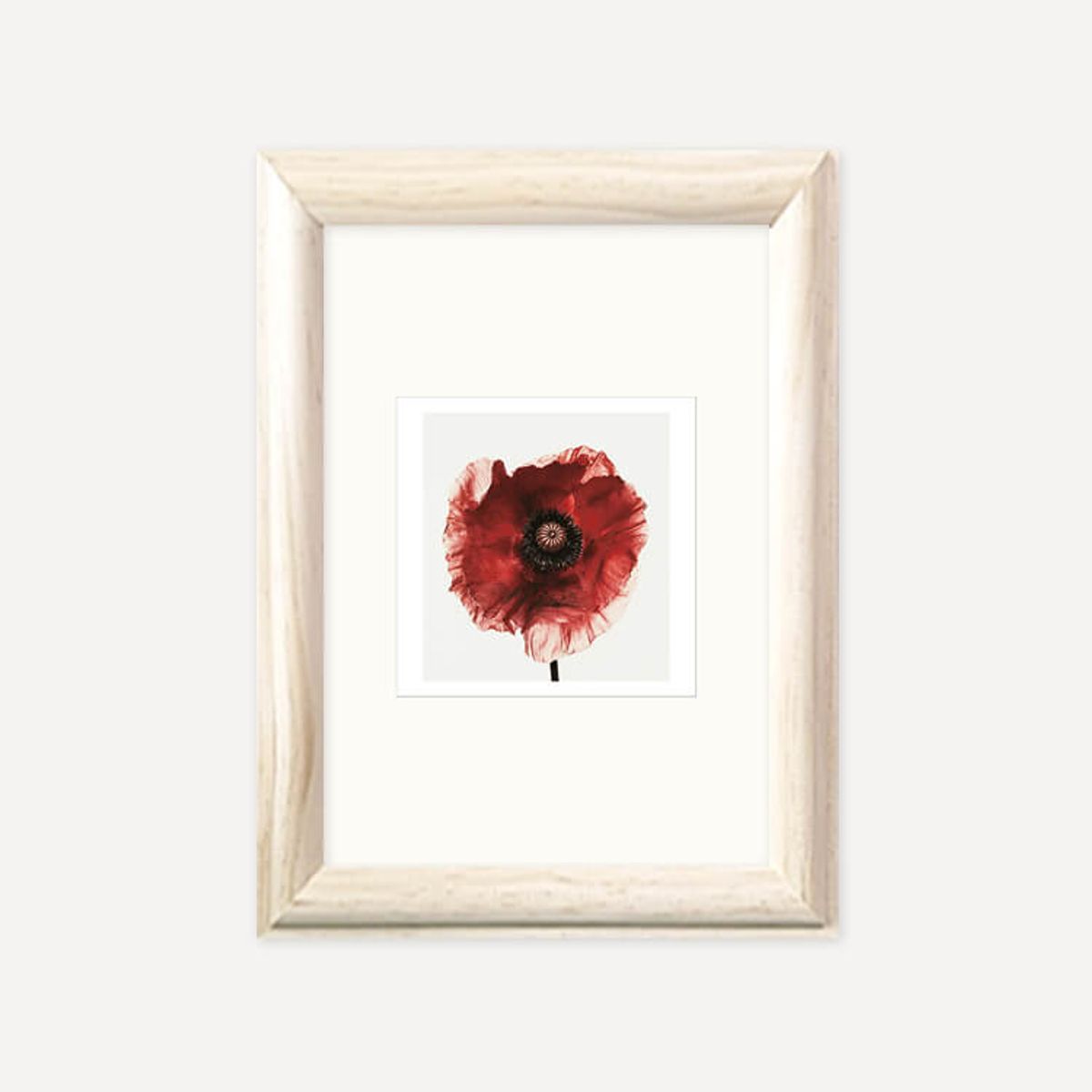 그릿시즌(GREET SEASON) 어빙 펜 Poppy : Burgundy, 1968 (액자 포함)