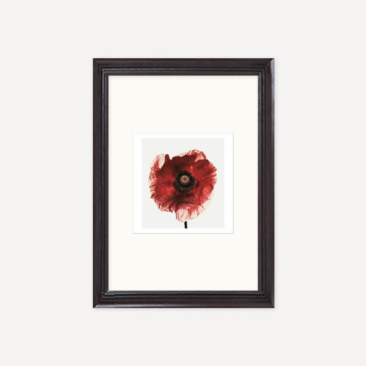 그릿시즌(GREET SEASON) 어빙 펜 Poppy : Burgundy, 1968 (액자 포함)