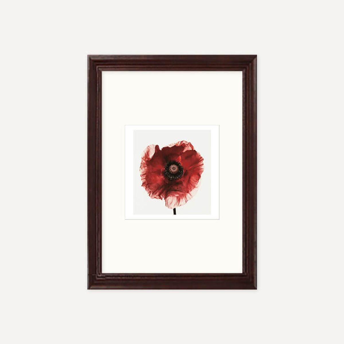 그릿시즌(GREET SEASON) 어빙 펜 Poppy : Burgundy, 1968 (액자 포함)