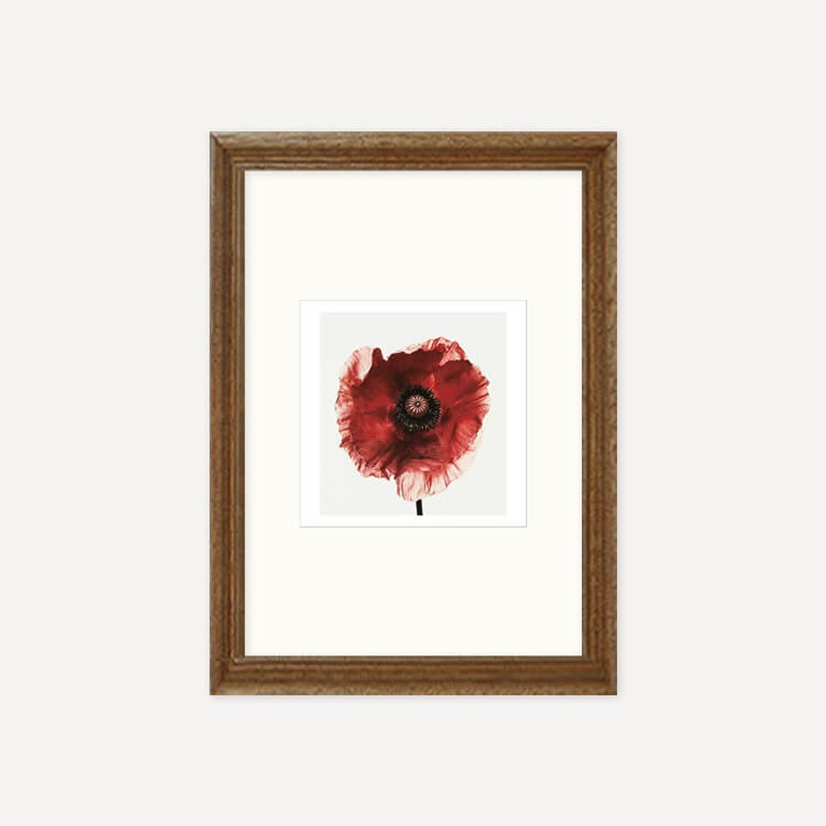 그릿시즌(GREET SEASON) 어빙 펜 Poppy : Burgundy, 1968 (액자 포함)