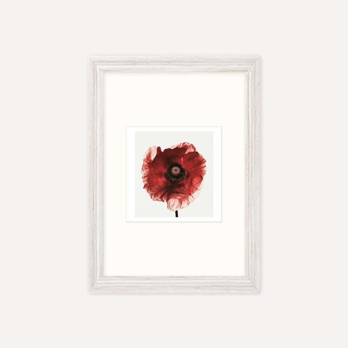 그릿시즌(GREET SEASON) 어빙 펜 Poppy : Burgundy, 1968 (액자 포함)
