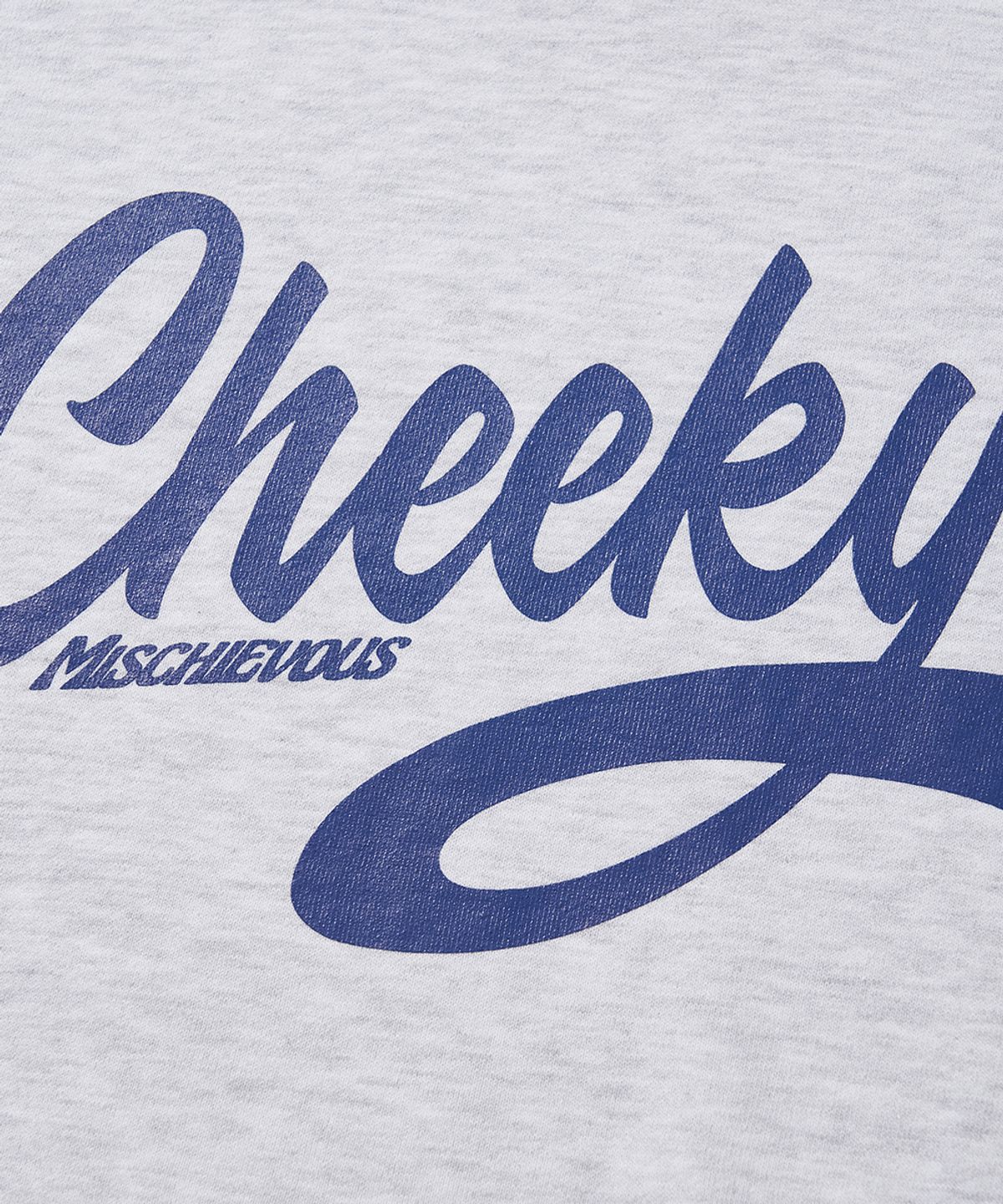 리베레(LIBERE) CHEEKY CREW SWEAT / GRAY