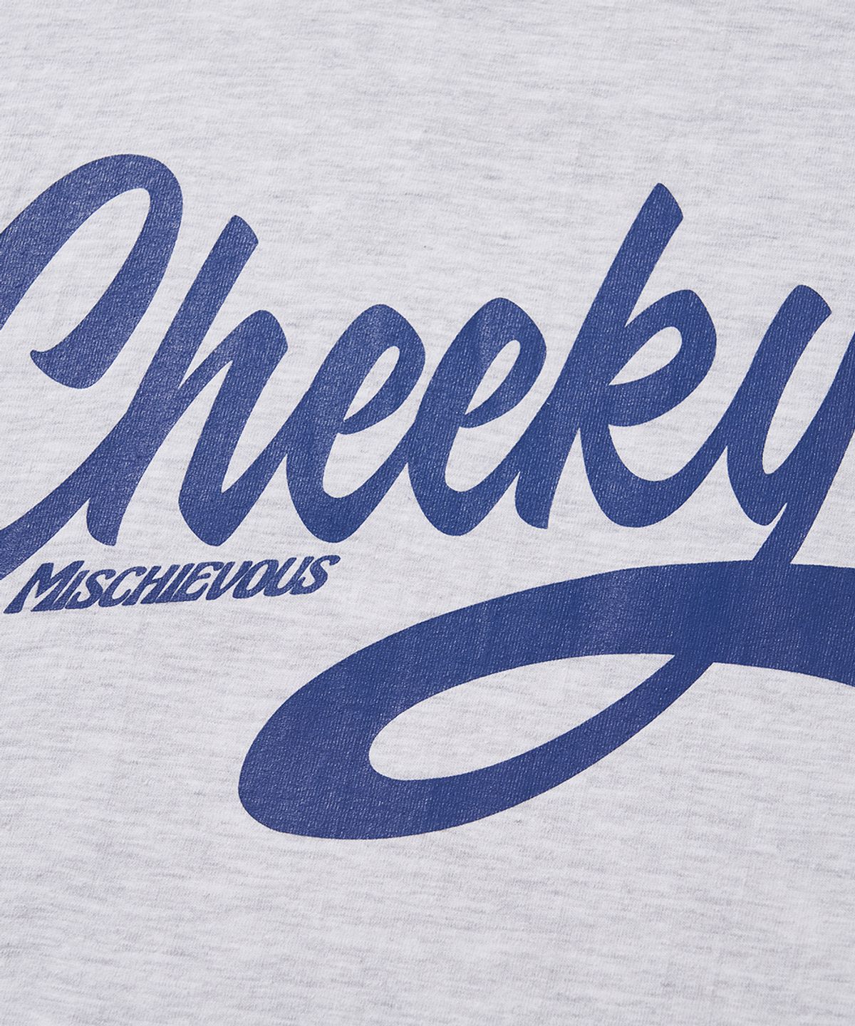 리베레(LIBERE) CHEEKY SS TEE / GRAY
