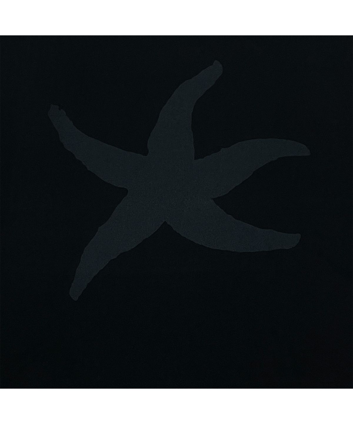 더콜디스트모먼트(THE COLDEST MOMENT) TCM starfish T (black)