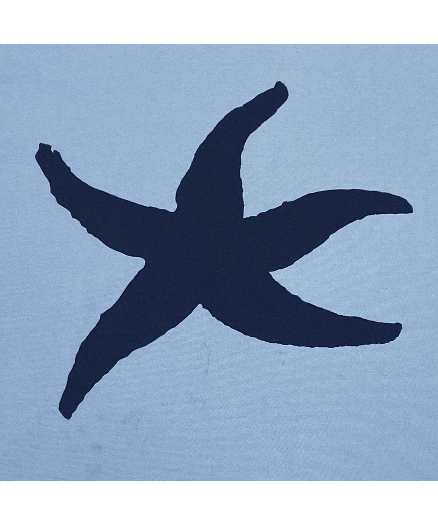 MUSINSA | THE COLDEST MOMENT TCM starfish T (sky blue)