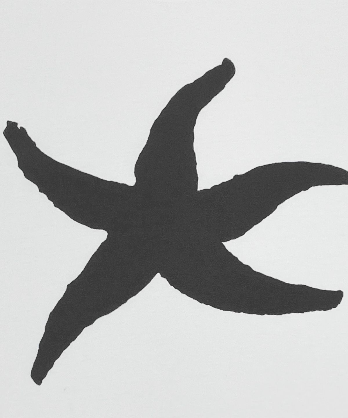더콜디스트모먼트(THE COLDEST MOMENT) TCM starfish T (white)