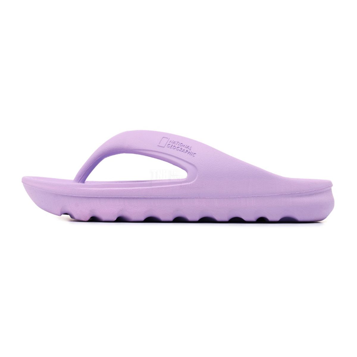 내셔널지오그래픽(NATIONALGEOGRAPHIC) N232USD325 트로피칼 플리플랍 LAVENDER