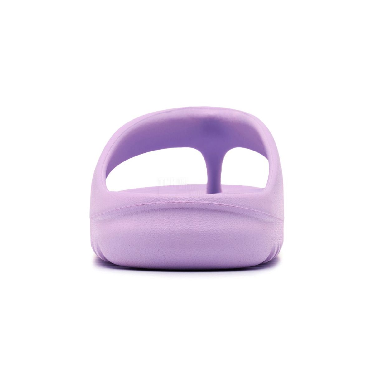 내셔널지오그래픽(NATIONALGEOGRAPHIC) N232USD325 트로피칼 플리플랍 LAVENDER