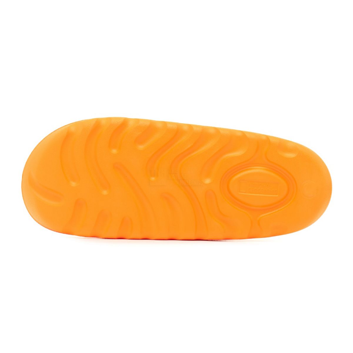 내셔널지오그래픽(NATIONALGEOGRAPHIC) N232USD325 트로피칼 플리플랍 ORANGE