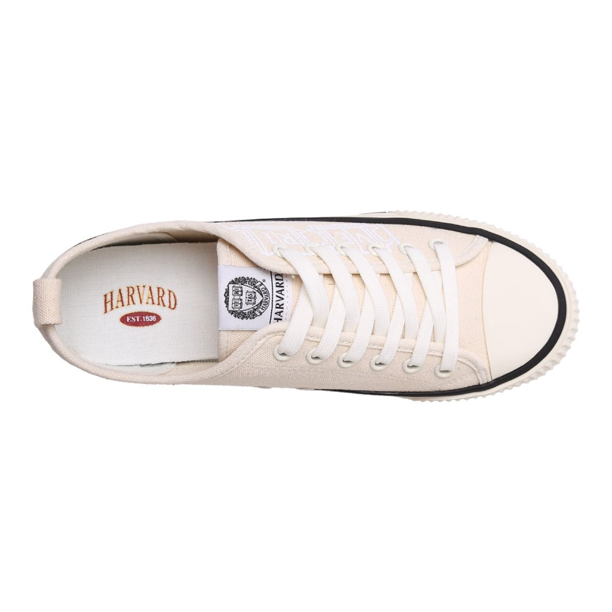 하버드 슈즈(HARVARD SHOES) 벨루스 캔버스 스니커즈 베이지