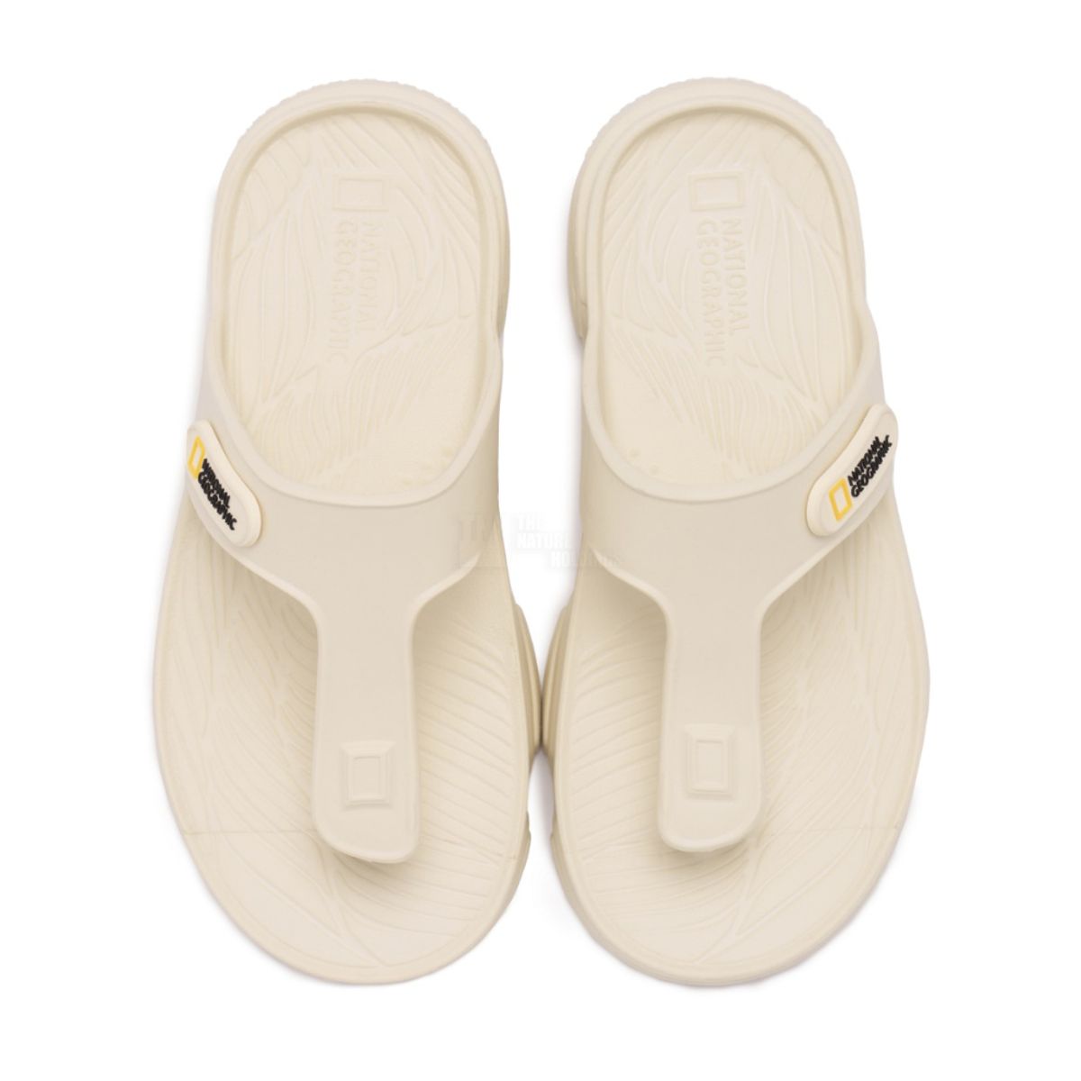내셔널지오그래픽(NATIONALGEOGRAPHIC) N232USD023 퐁듀 IVORY