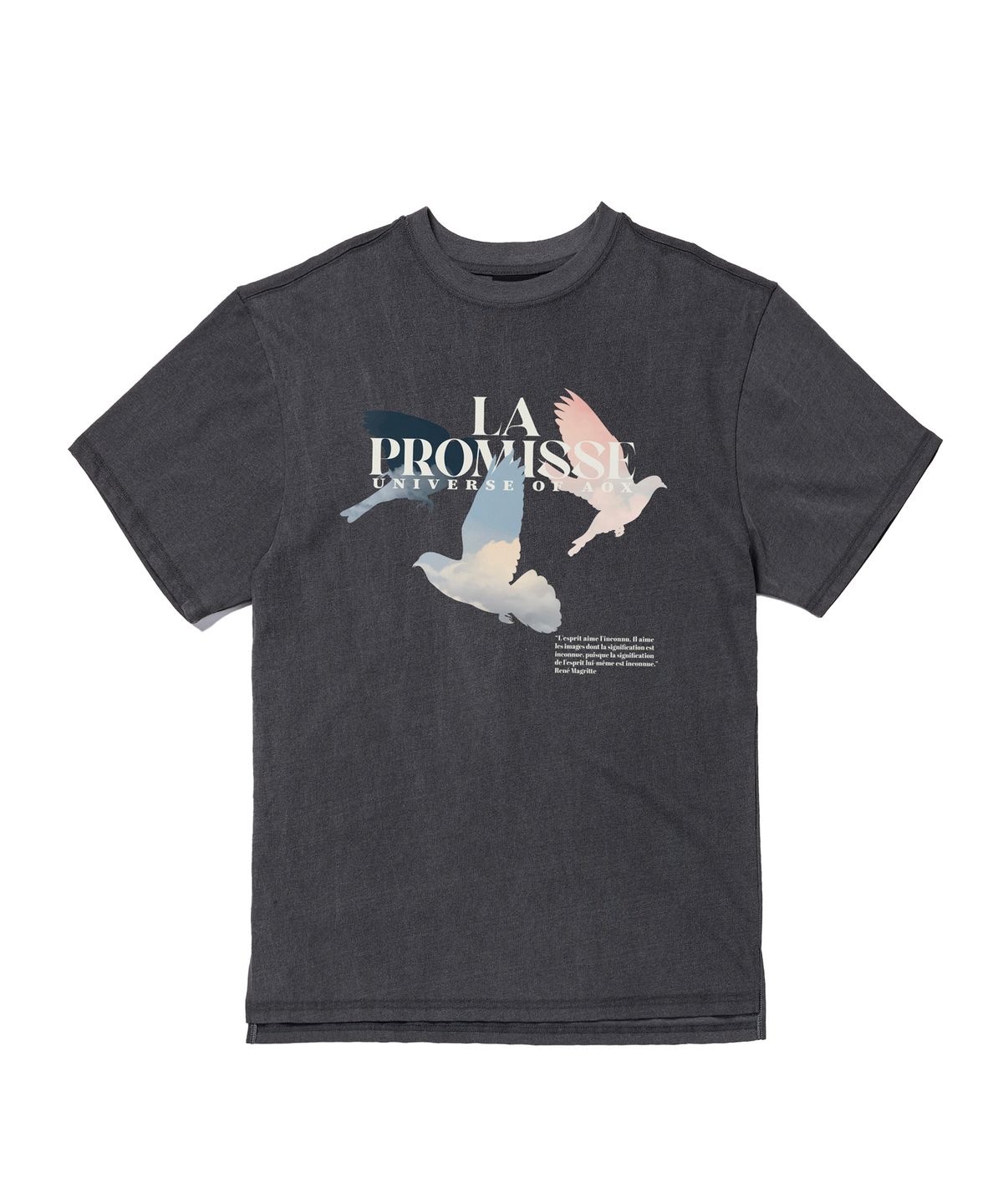 에이오엑스(AOX) Promise Pigmented T-shirt (Gray)