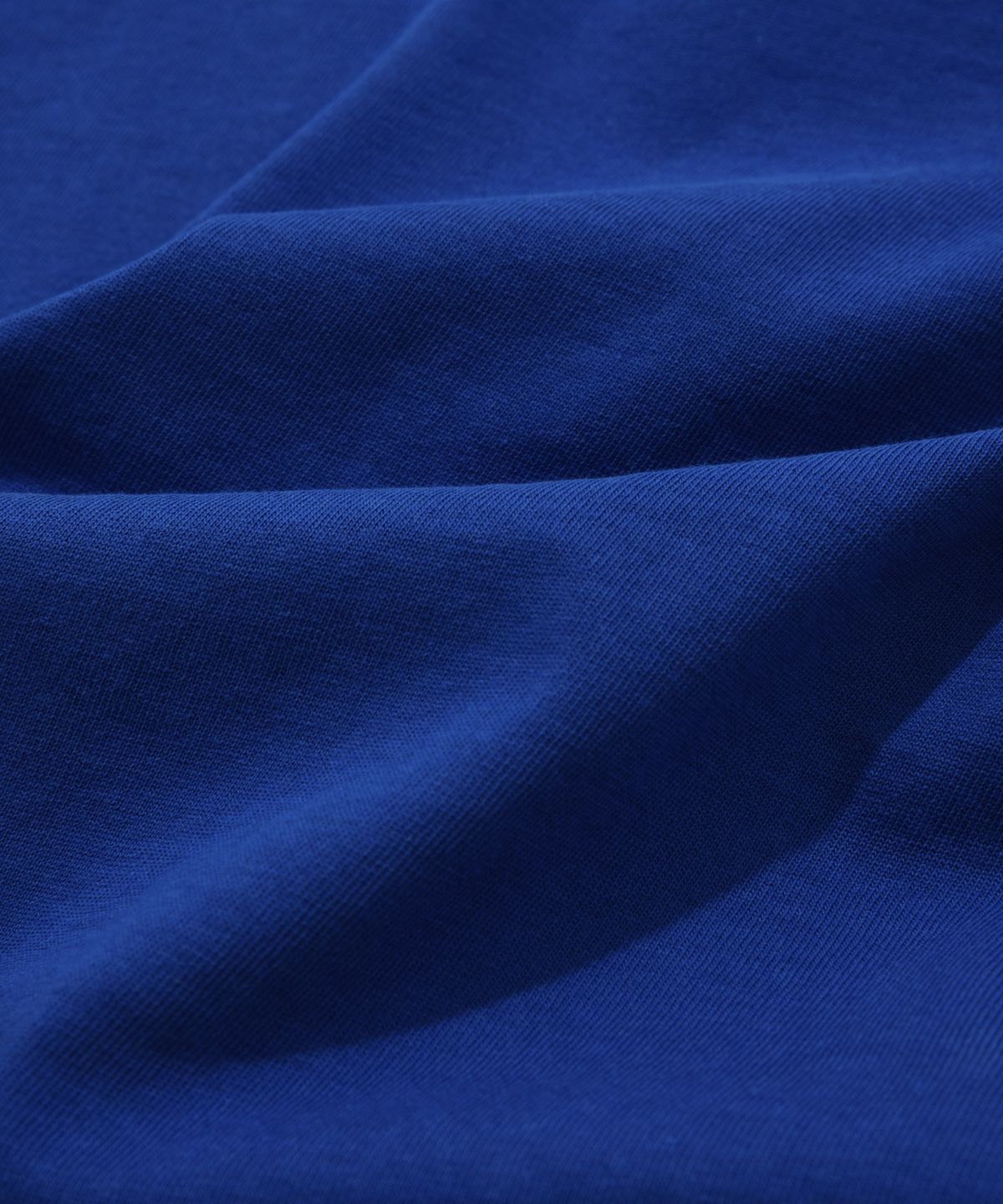 리트리버클럽(RETRIEVER CLUB) DOGGY STAR CROP TEE [BLUE]