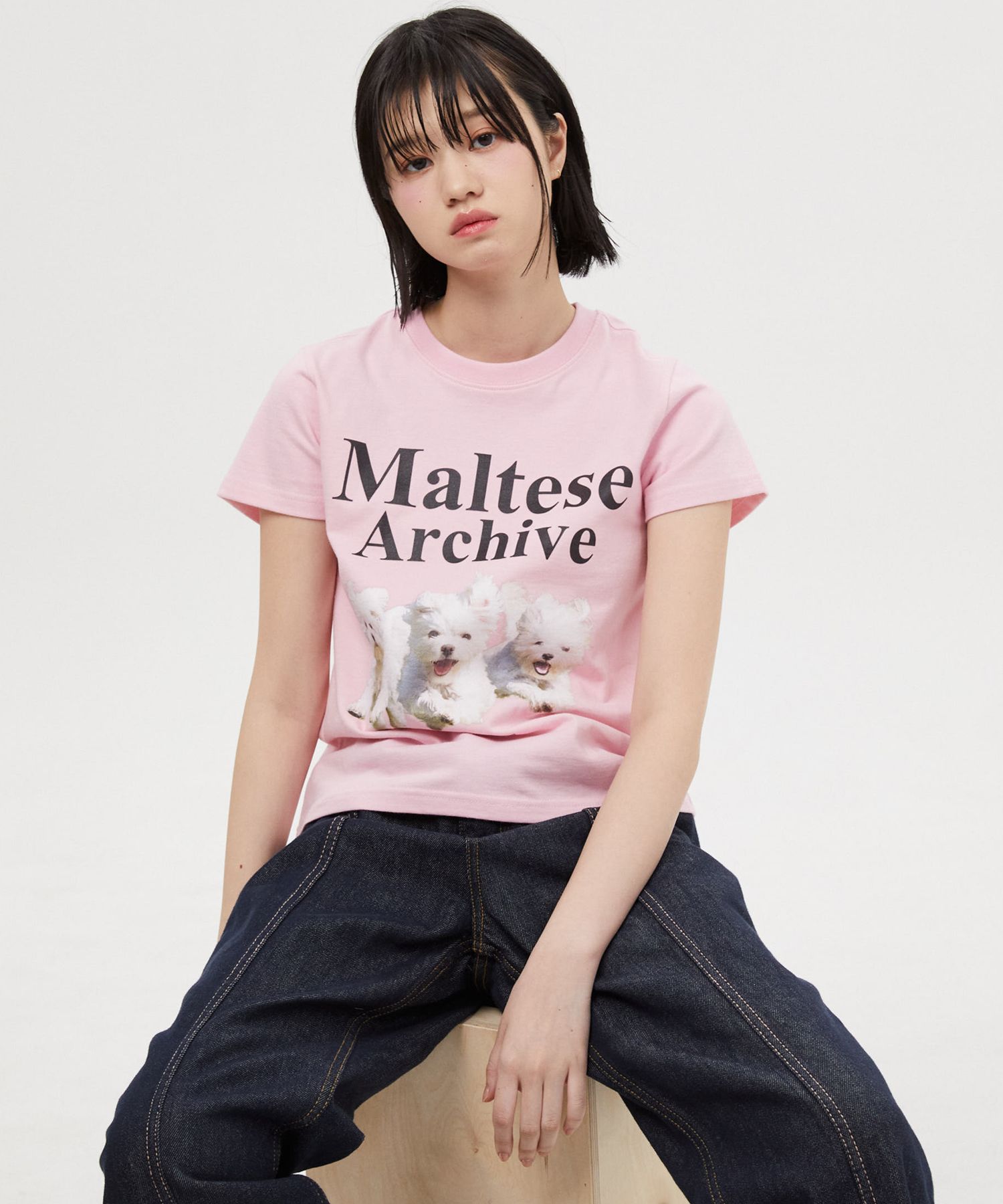 ★WAIKEI★ Twinkle Maltese Short Sleeve T-Shirt Pink YKBD02T Maltese archive line graphic ringer half sleeve T-shirt