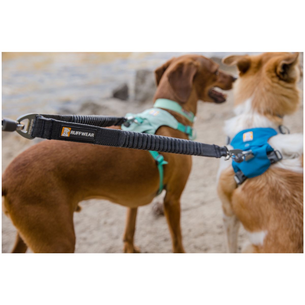 러프웨어(RUFFWEAR) 더블 트랙 커플러 쌍리드줄(Double Track™ Coupler)