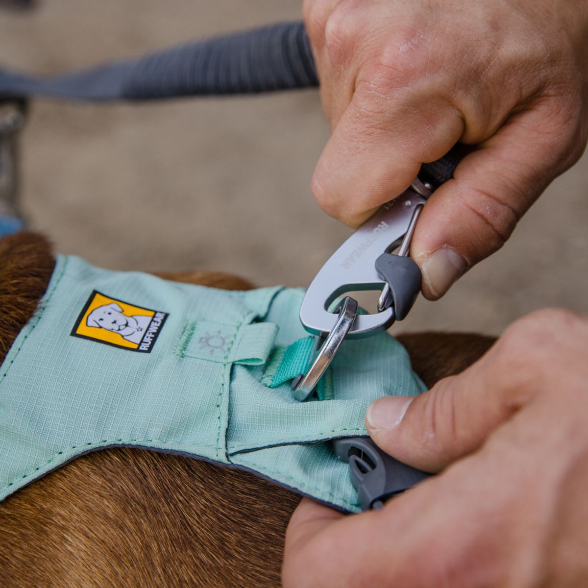 러프웨어(RUFFWEAR) 더블 트랙 커플러 쌍리드줄(Double Track™ Coupler)