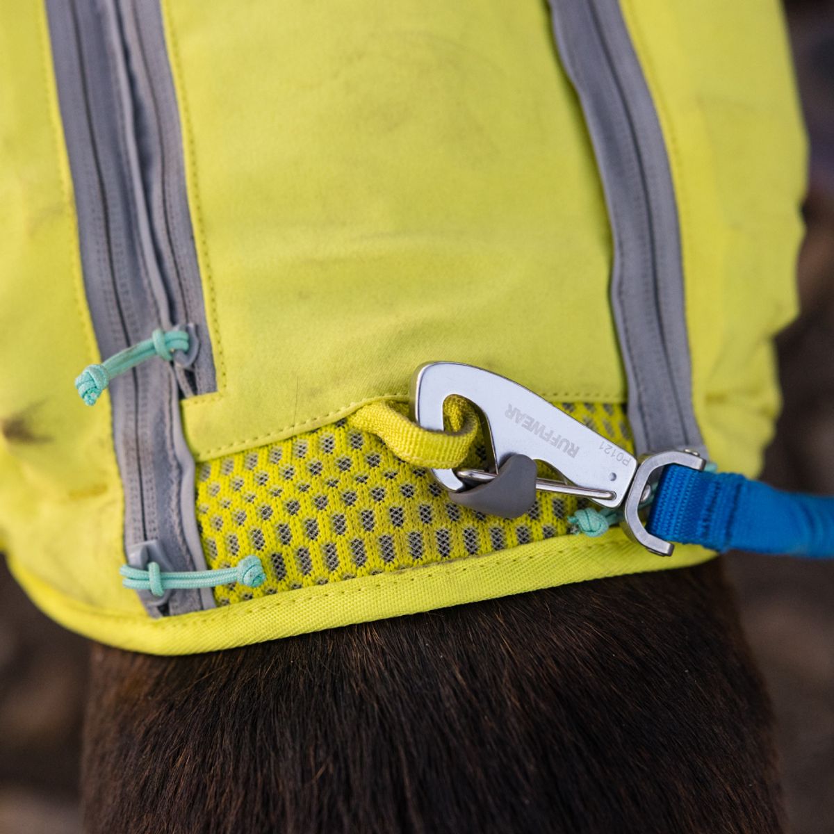 러프웨어(RUFFWEAR) 트레일 러너 리드줄(Trail Runner™ Leash)