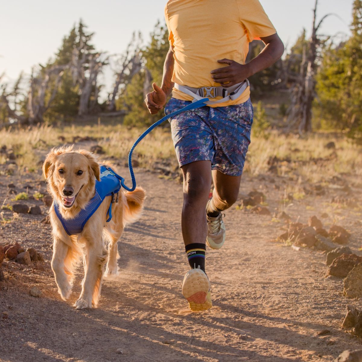 러프웨어(RUFFWEAR) 트레일 러너 리드줄(Trail Runner™ Leash)