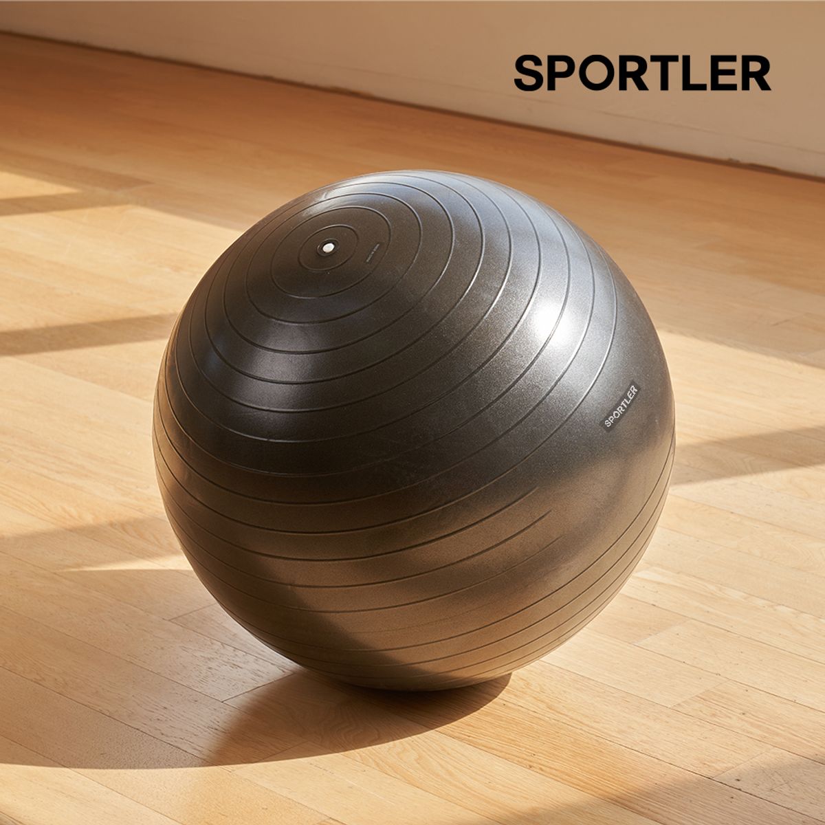 스포틀러(SPORTLER) 안티버스트 짐볼